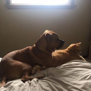 Meet your Posher, Brandy